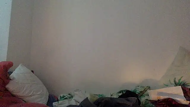 ARTANIS20 webcam