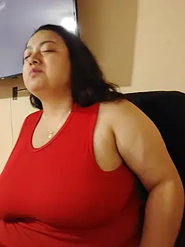 AvaRyd webcam