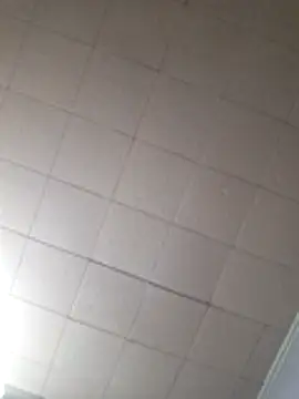 19JaSon83 webcam