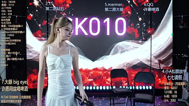 SK010 webcam
