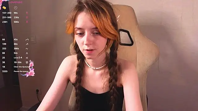 stelamontis webcam