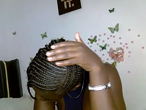 masindit webcam