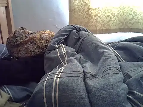Delmelg webcam
