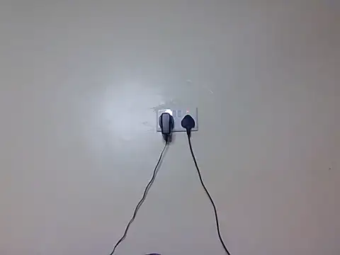 livecleo_ webcam