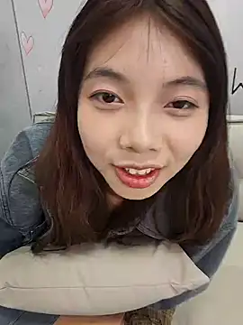 NN-833 webcam