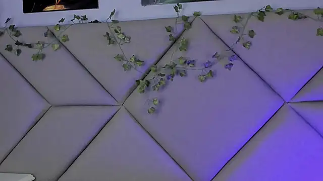 StellarKitty_ Live Web Cam Show