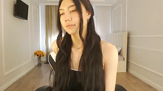 SecretTiny webcam