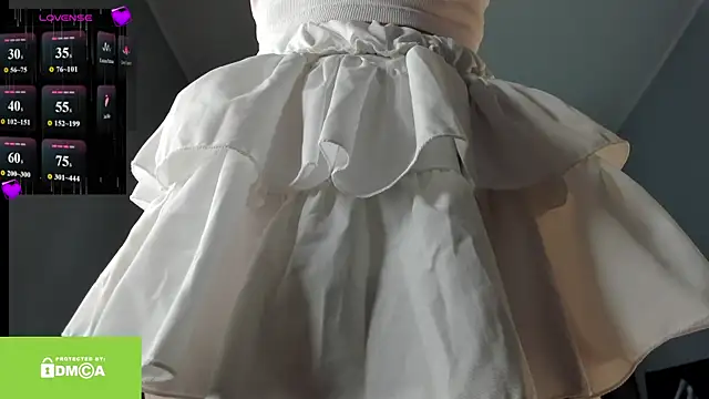 Vanaldienn webcam