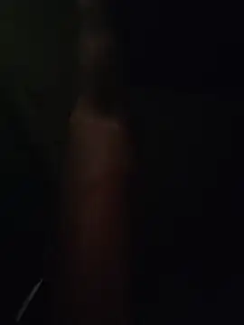 Dariusfantioni webcam