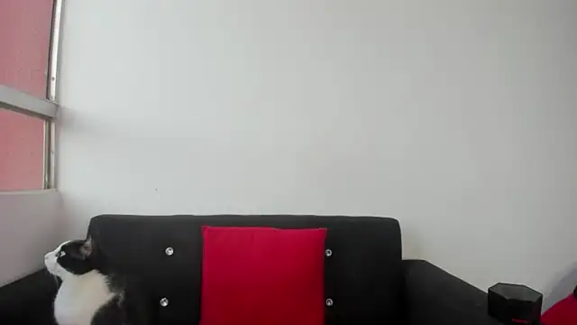 Onion_knight webcam