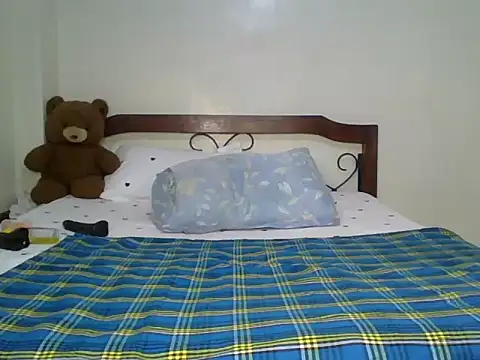 Shi_Assy webcam
