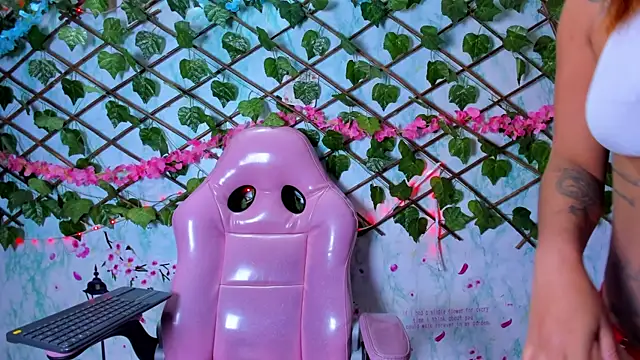 Pamesmith webcam