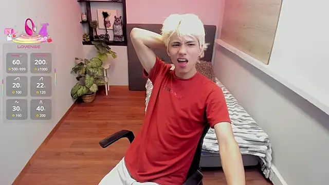 Stich_23 webcam