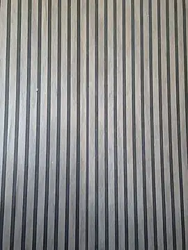 Vibeme_crazy webcam
