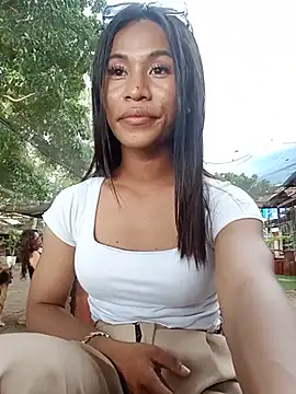 simplytrans webcam