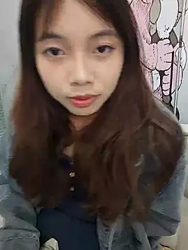 NN-833 webcam
