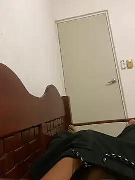 HailVega webcam