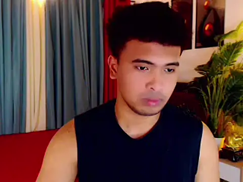 sinfulasher webcam