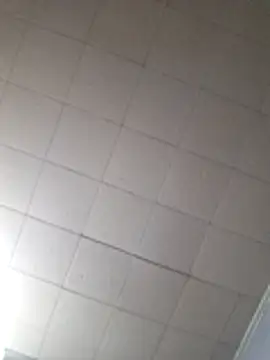 19JaSon83 webcam