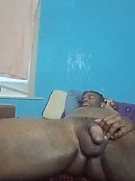 ReallyReallyReal webcam