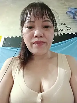 Sana-vn webcam