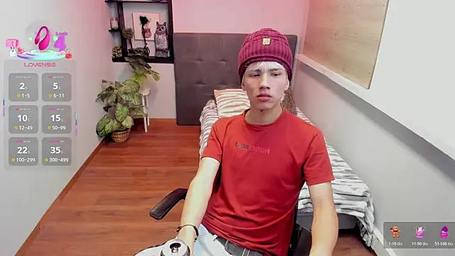 Stich_23 webcam