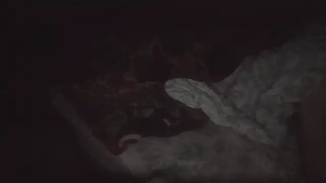JoaoPinto0 live sex cam