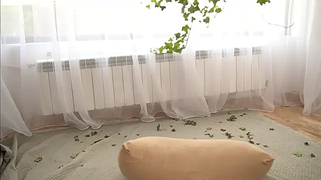 TheMaddisonShow_