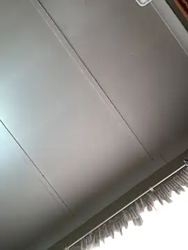TheSouthernKing webcam