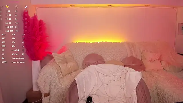 SweetVee webcam