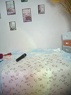 Meow_cute webcam