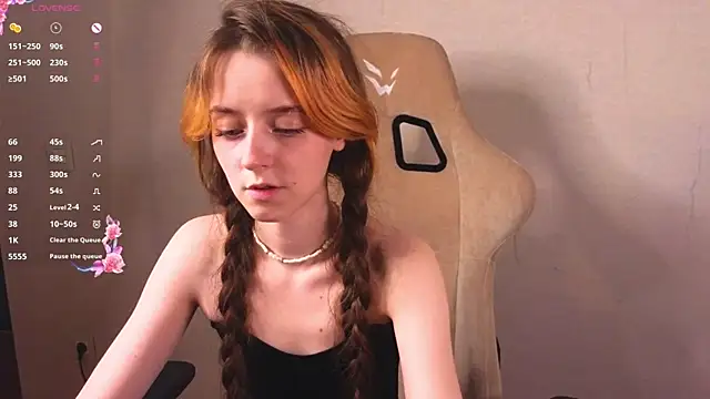 stelamontis webcam