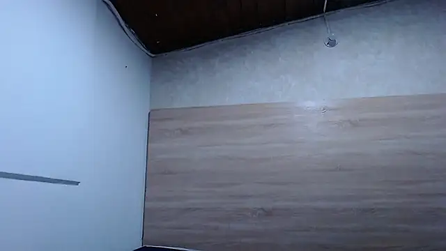 sashasalomefon webcam