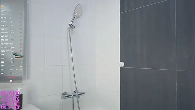 DelfinaSiderine webcam