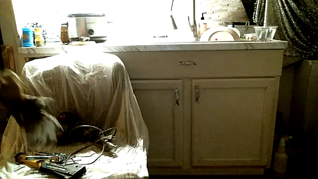 SexyB214 live sex cam