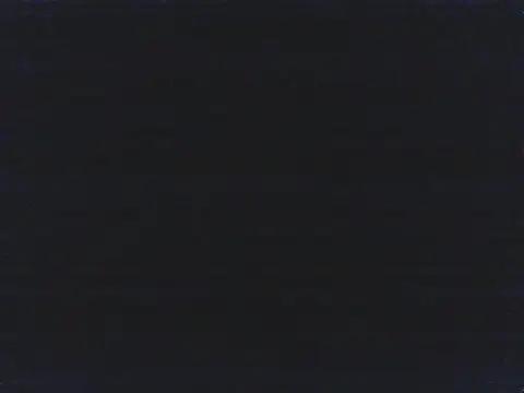 CaramelDipper webcam