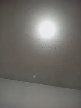 ambarlennoix webcam