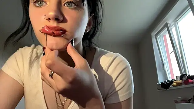 SoagAlexa webcam