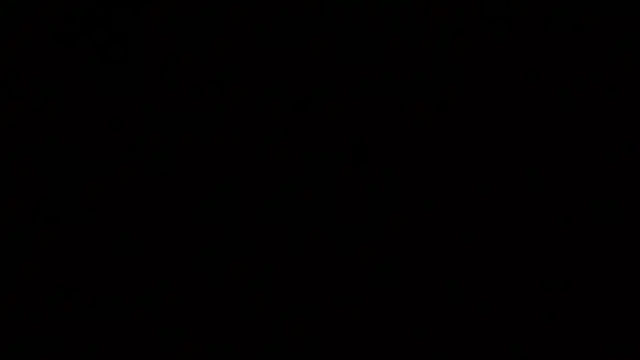 ernestdom1234 webcam