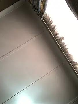 TheSouthernKing webcam