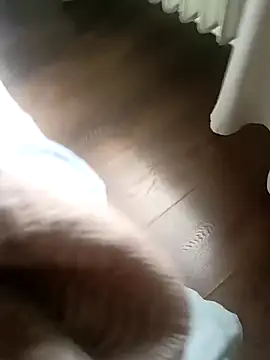 Модель: NiceBadgera