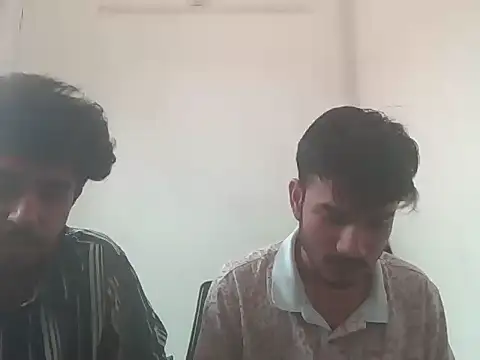 badaa_lund webcam