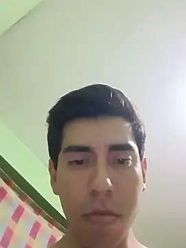 L915 webcam