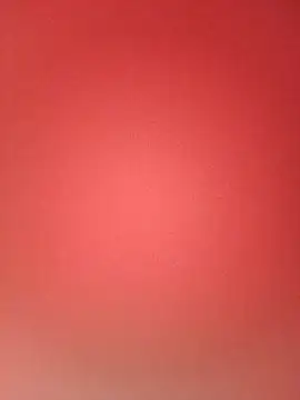 Sexy_vnshika