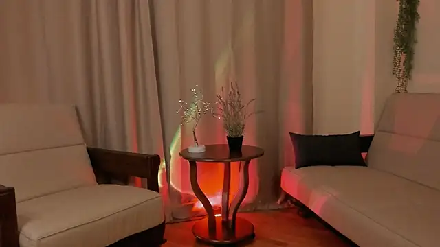 VacuumBarbie webcam