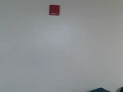 Cavy_candy webcam