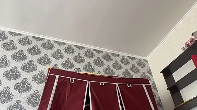 Alismoona webcam