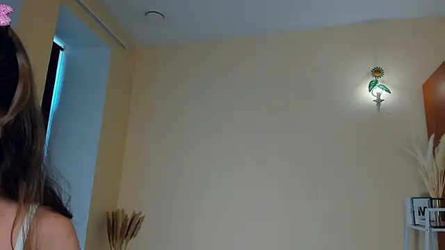 HermilaJaco webcam