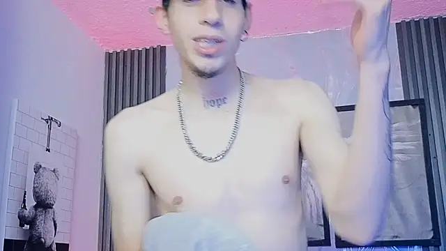 Pacomaster webcam
