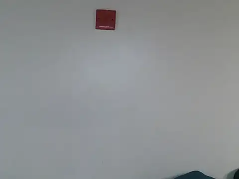Cavy_candy webcam